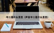 中二是什么意思（声音中二是什么意思）