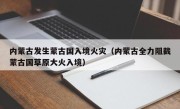 内蒙古发生蒙古国入境火灾（内蒙古全力阻截蒙古国草原大火入境）