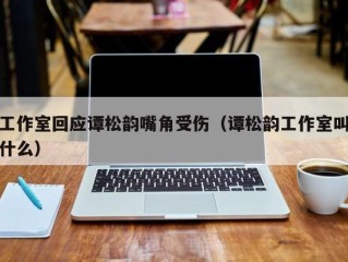 工作室回应谭松韵嘴角受伤（谭松韵工作室叫什么）