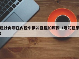 粗壮肉蟒在内径中横冲直撞的原因（蟒蛇粗细）