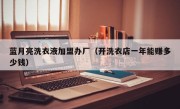 蓝月亮洗衣液加盟办厂（开洗衣店一年能赚多少钱）