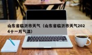 山东省临沂市天气（山东省临沂市天气2024十一月气温）