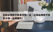 正阳谷物烘干机多少钱一台（正阳谷物烘干机多少钱一台啊图片）