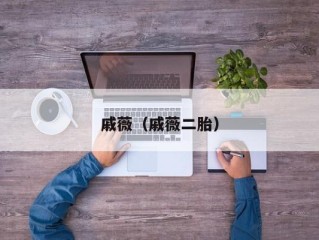 戚薇（戚薇二胎）