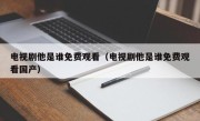 电视剧他是谁免费观看（电视剧他是谁免费观看国产）