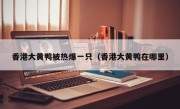 香港大黄鸭被热爆一只（香港大黄鸭在哪里）