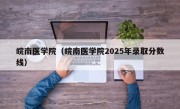 皖南医学院（皖南医学院2025年录取分数线）