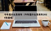 今年是什么生肖年（今年是什么生肖年2024年属啥）