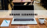 比亚迪海鸥（比亚迪海鸥价格）