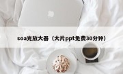 soa光放大器（大片ppt免费30分钟）