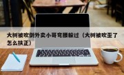 大树被吹倒外卖小哥弯腰躲过（大树被吹歪了怎么扶正）