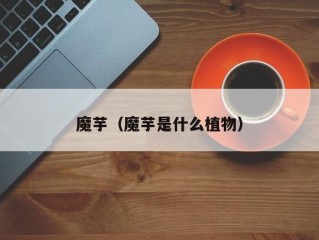 魔芋（魔芋是什么植物）