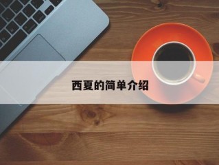 西夏的简单介绍