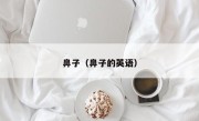 鼻子（鼻子的英语）