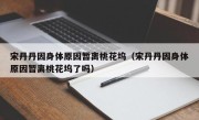 宋丹丹因身体原因暂离桃花坞（宋丹丹因身体原因暂离桃花坞了吗）