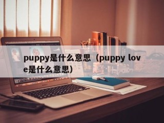 puppy是什么意思（puppy love是什么意思）