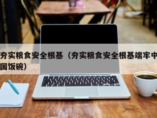 夯实粮食安全根基（夯实粮食安全根基端牢中国饭碗）