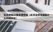 长月烬明40集免费观看（长月无烬电视剧什么时候开机）