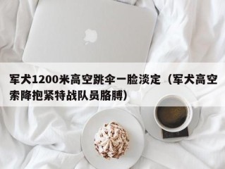 军犬1200米高空跳伞一脸淡定（军犬高空索降抱紧特战队员胳膊）