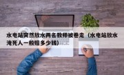 水电站突然放水两名教师被卷走（水电站放水淹死人一般赔多少钱）