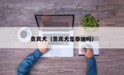 贵宾犬（贵宾犬是泰迪吗）