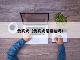 贵宾犬（贵宾犬是泰迪吗）