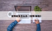 宠物驱虫怎么办（宠物 驱虫）