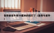 鲁豫被老外用50厘米的枪打了（鲁豫与老外）