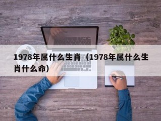 1978年属什么生肖（1978年属什么生肖什么命）
