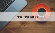 文章（文章马伊琍）