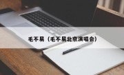 毛不易（毛不易北京演唱会）