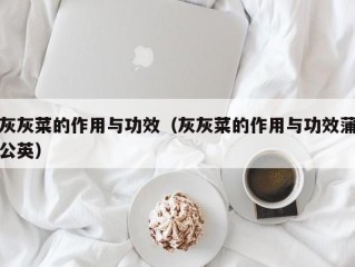 灰灰菜的作用与功效（灰灰菜的作用与功效蒲公英）