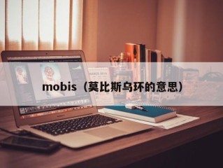 mobis（莫比斯乌环的意思）