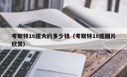 考斯特16座大约多少钱（考斯特16座图片欣赏）