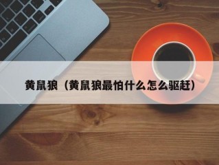 黄鼠狼（黄鼠狼最怕什么怎么驱赶）