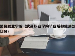 武昌职业学院（武昌职业学院毕业后都能进部队吗）