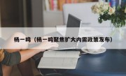 杨一鸣（杨一鸣聚焦扩大内需政策发布）