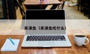 鼻涕虫（鼻涕虫吃什么）