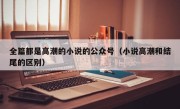 全篇都是高潮的小说的公众号（小说高潮和结尾的区别）