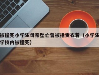 被撞死小学生母亲坠亡曾被指责衣着（小学生学校内被撞死）