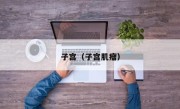子宫（子宫肌瘤）