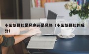 小柴胡颗粒是风寒还是风热（小柴胡颗粒的成分）