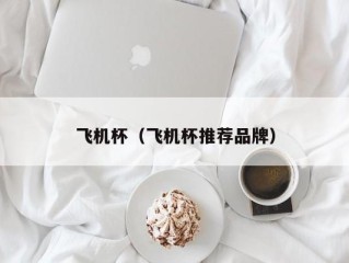 飞机杯（飞机杯推荐品牌）