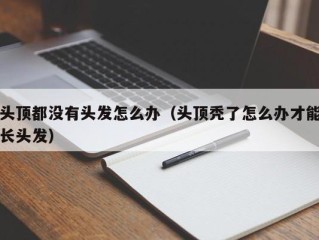 头顶都没有头发怎么办（头顶秃了怎么办才能长头发）
