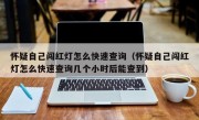 怀疑自己闯红灯怎么快速查询（怀疑自己闯红灯怎么快速查询几个小时后能查到）