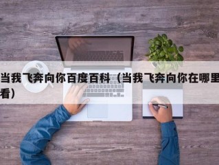 当我飞奔向你百度百科（当我飞奔向你在哪里看）