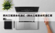 四川三姐弟水坑溺亡（四川三姐弟水坑溺亡原因）