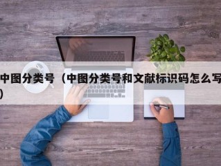 中图分类号（中图分类号和文献标识码怎么写）