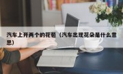 汽车上开两个的花苞（汽车出现花朵是什么意思）