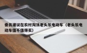 委员建议在农村淘汰老头乐电动车（老头乐电动车值不值得买）